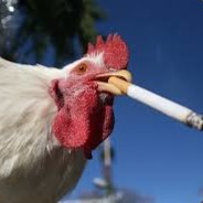 ku ku riguuu