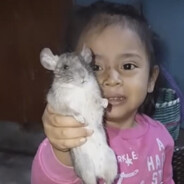 A garota rato