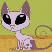 Mr. Cat