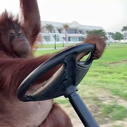 pene erecto (travesti)