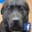 BufordGamingTV *Live*