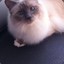 Coco.&lt;3