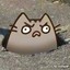 Pusheen Cat is so cute ! ! !