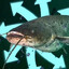 tovariš