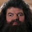 Hagrid On Opium