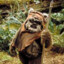 eWok