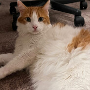 weak ahh killer - steam id 76561198169290613