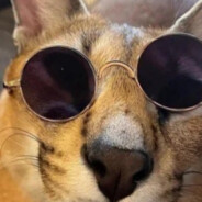 LarryMSQ