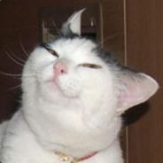 Snoogins - steam id 76561197961174186