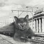 КоТ ПеревороТ