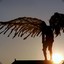 ...Ne Angel...
