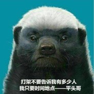 。。。。。。。。。。