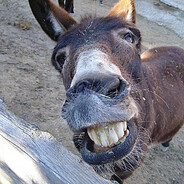 Lionel Messi - steam id 76561199404268745