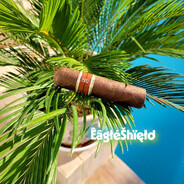 Êâgłé Šhïęłd