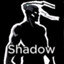 Shadow