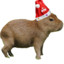 FestivitiesCapybara