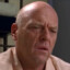 Hank Schrader