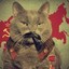 Joseph Cat Stalin