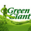 Géant vert