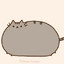 BigMeow