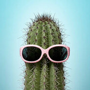 VisualCactus Steam avatar