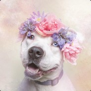 holy † Steam avatar