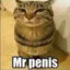 Mr.Penis