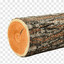 Log
