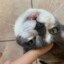 Moraway_