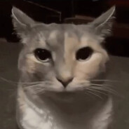 8055