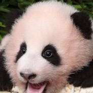 fallinginlove - steam id 76561199048896736