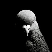 wavy's avatar