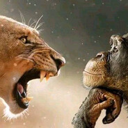 ядерный хуеплет