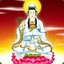 丰子牛