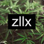 zllx