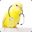 Dr. Birb, M.D.