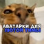 УСТАЛ ПОБЕЖДАТЬ