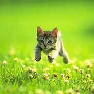 biggiraffe42 - steam id 76561198271979966