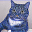 Blue Buddy