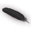 BlackFeather