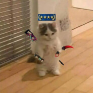 ｡:.ﾟ𝔰𝖊𝖘ҽﾟ.:｡