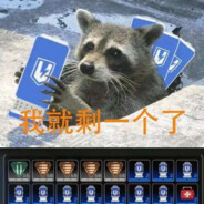 猫猫能睡一整天