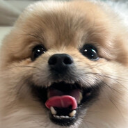 오뇨뇨 Steam avatar