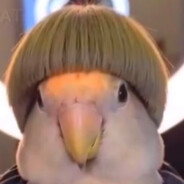 cgrzper