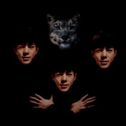 丁真珍珠1376荣华富贵