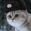 Soviet Cat