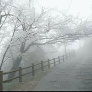 Mag1stez - steam id 76561199437882007