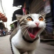 AAA.开锁配锁陈先生