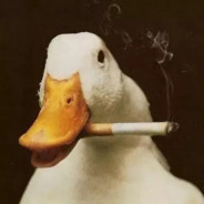 有梦想的蘑菇