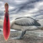 The Pelican